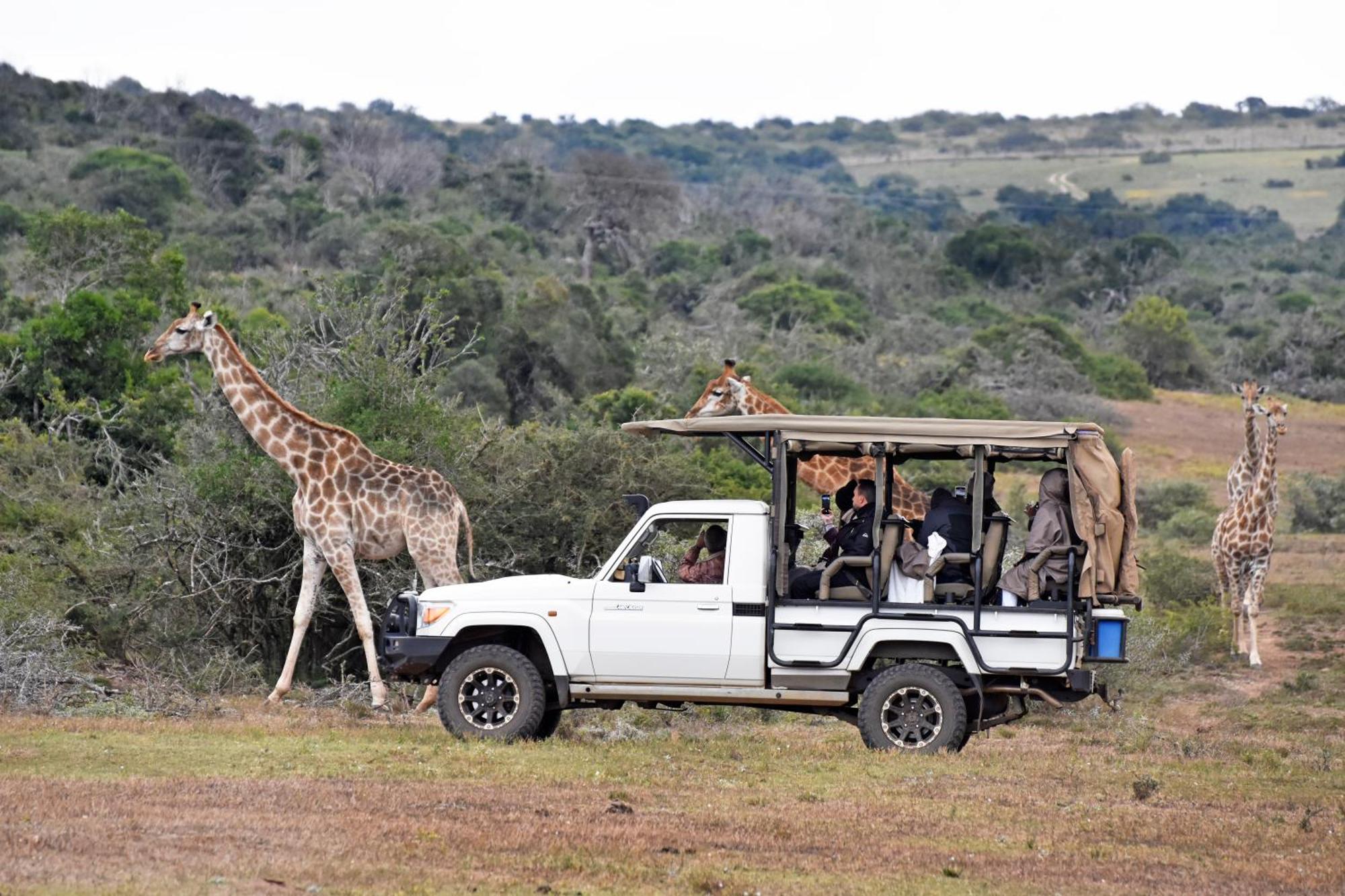Zuurberg Mountain Village Addo Exterior foto