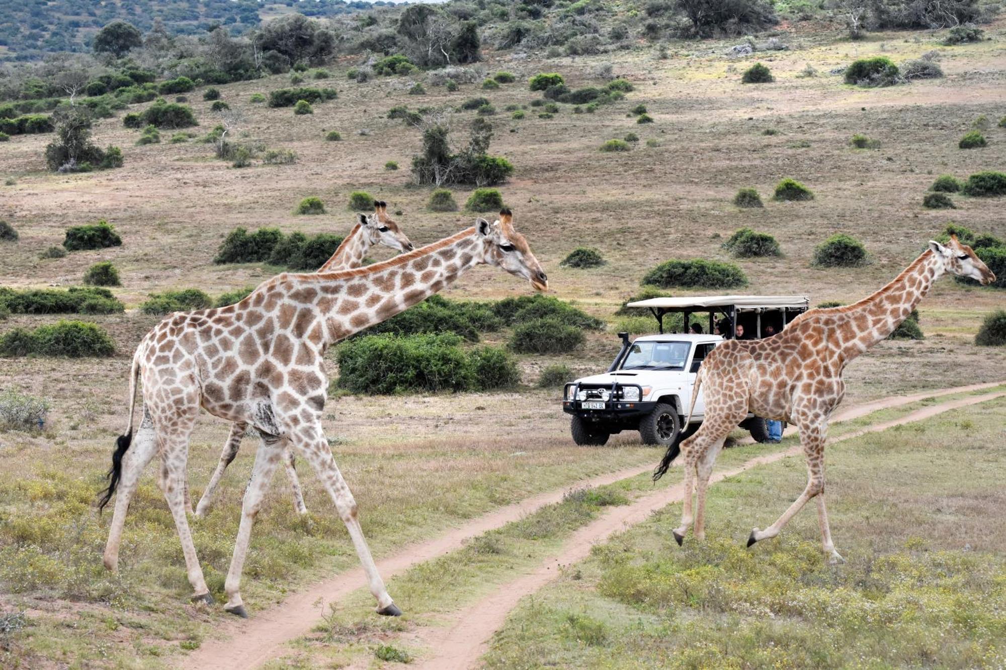 Zuurberg Mountain Village Addo Exterior foto