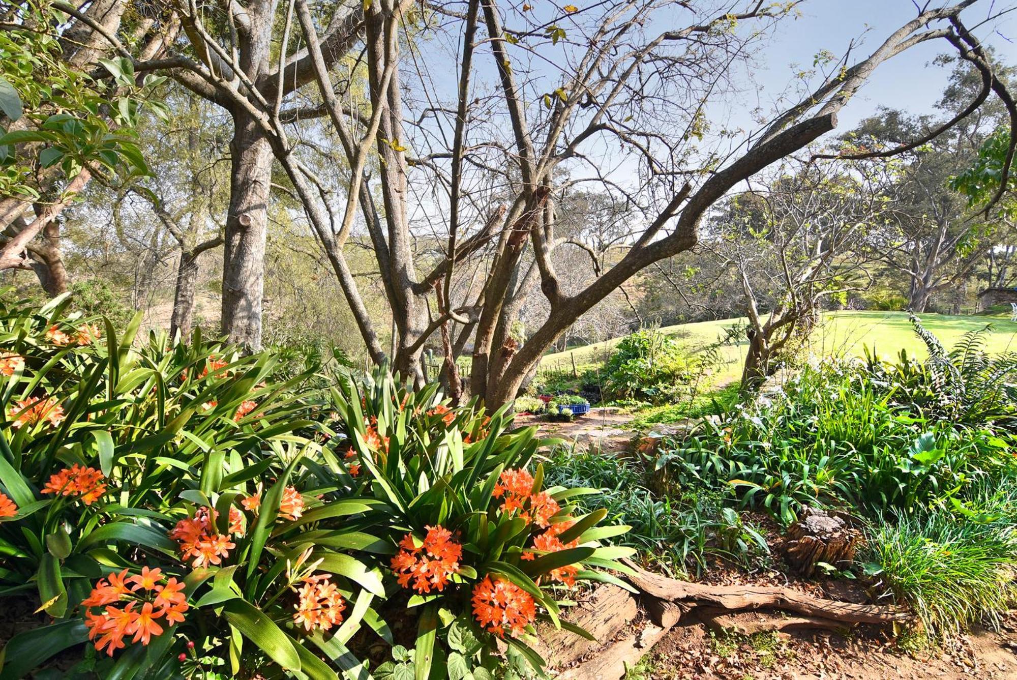 Zuurberg Mountain Village Addo Exterior foto